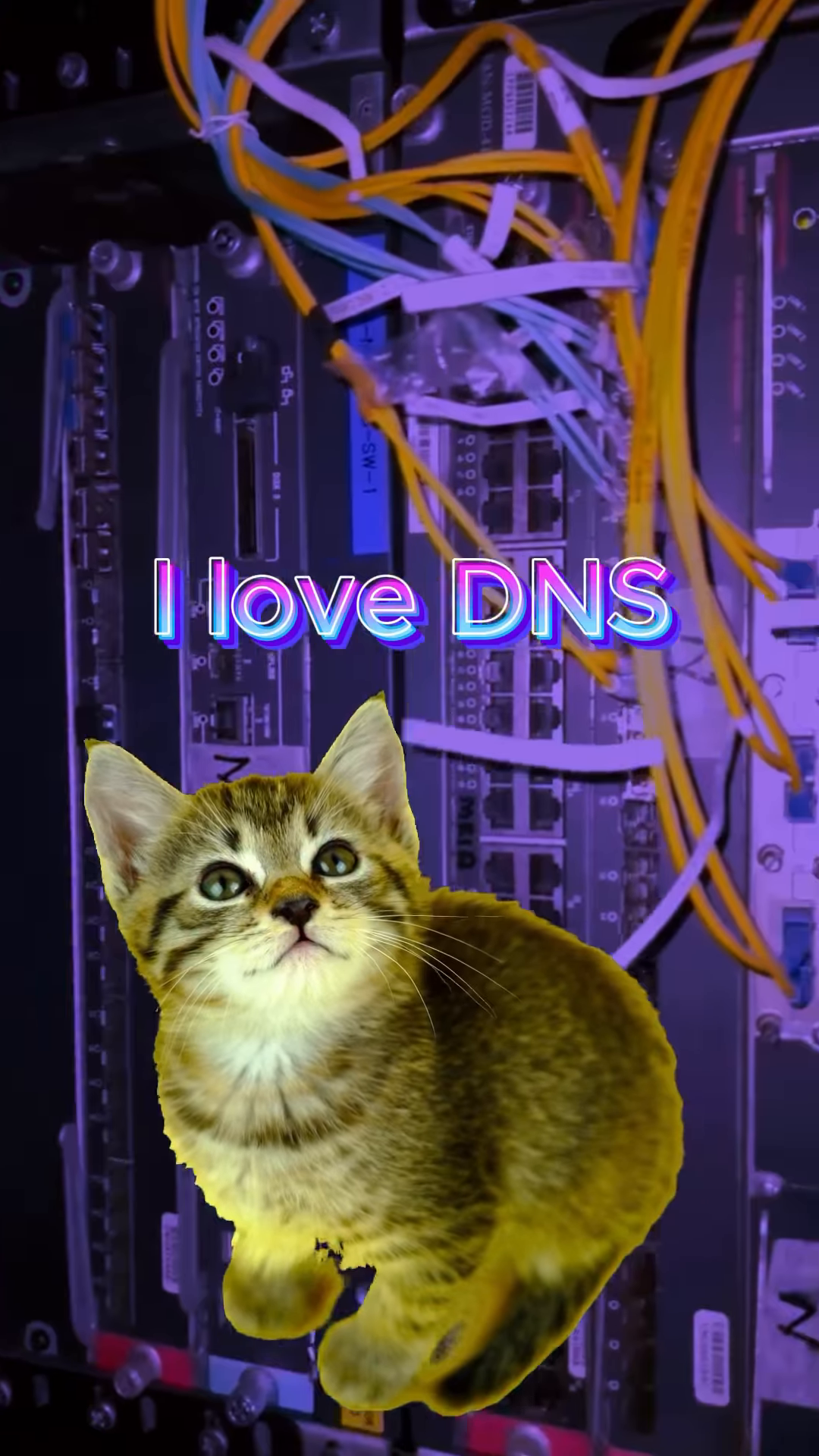 Video by tracketpacer [DUTSLcjkfJn].mp4